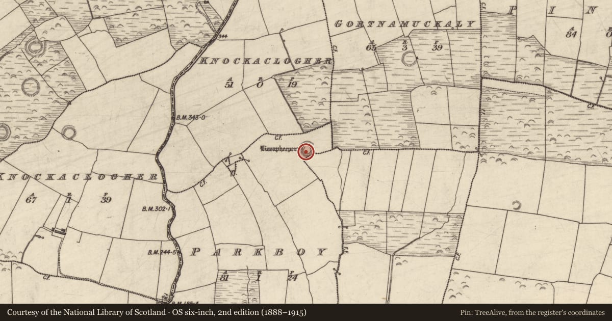 Ordnance Survey six-inch map, 2nd edition (1888–1915) covering the location of Ringfort - rath, Clashaphuca, Parkboy, County Kerry, with a pin at the register's coordinates