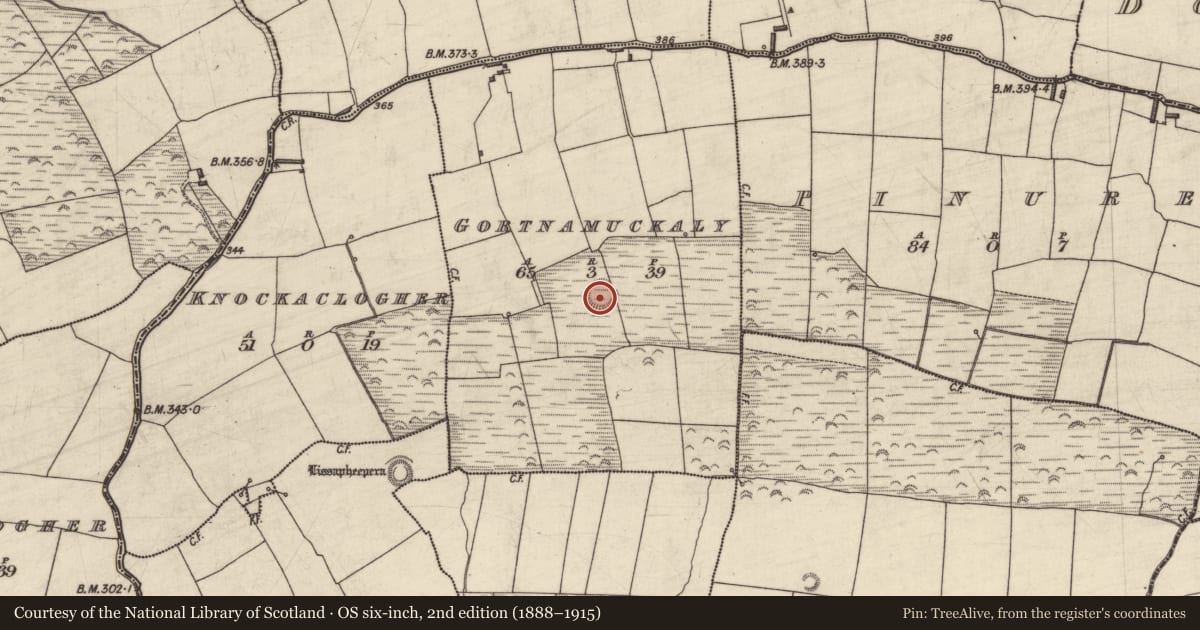 Ordnance Survey six-inch map, 2nd edition (1888–1915) covering the location of Enclosure, Gortnamuckaly, County Kerry, with a pin at the register's coordinates