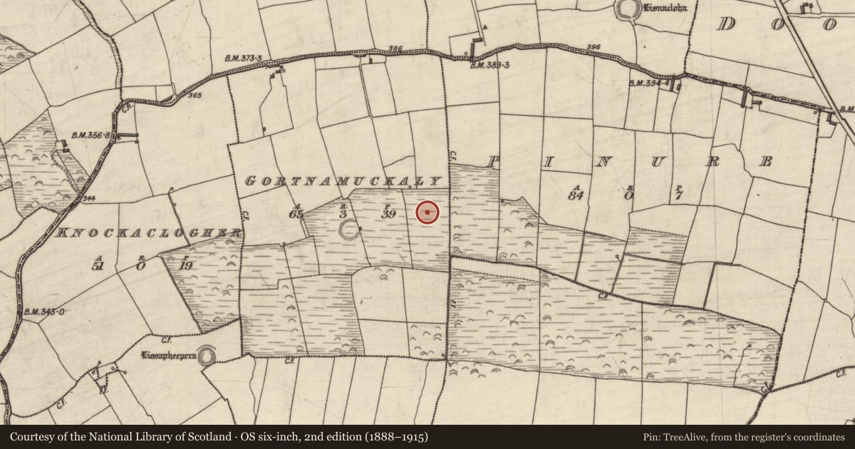 Ordnance Survey six-inch map, 2nd edition (1888–1915) covering the location of Fulacht fia, Gortnamuckaly, County Kerry, with a pin at the register's coordinates