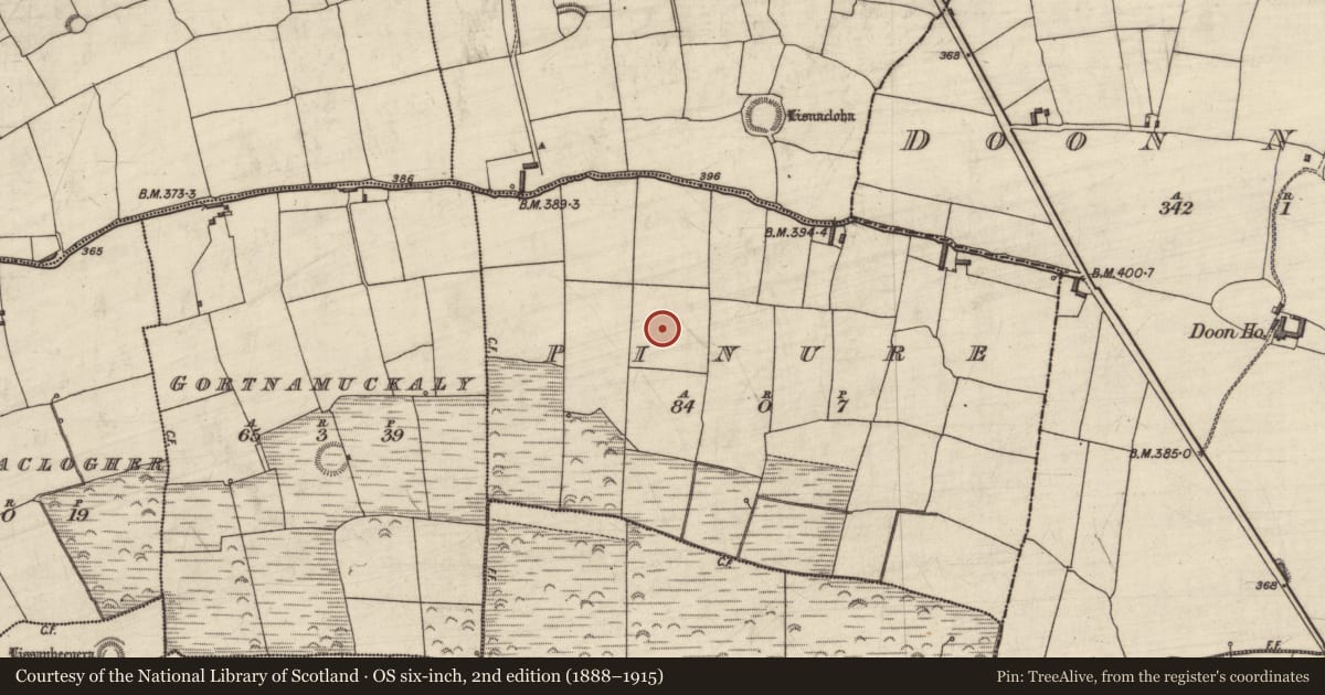 Ordnance Survey six-inch map, 2nd edition (1888–1915) covering the location of Enclosure, Pinure, County Kerry, with a pin at the register's coordinates