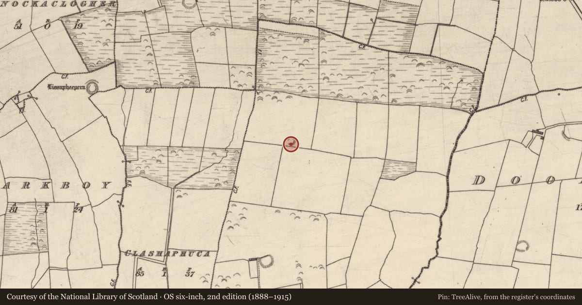 Ordnance Survey six-inch map, 2nd edition (1888–1915) covering the location of Enclosure, Bawnboy, County Kerry, with a pin at the register's coordinates