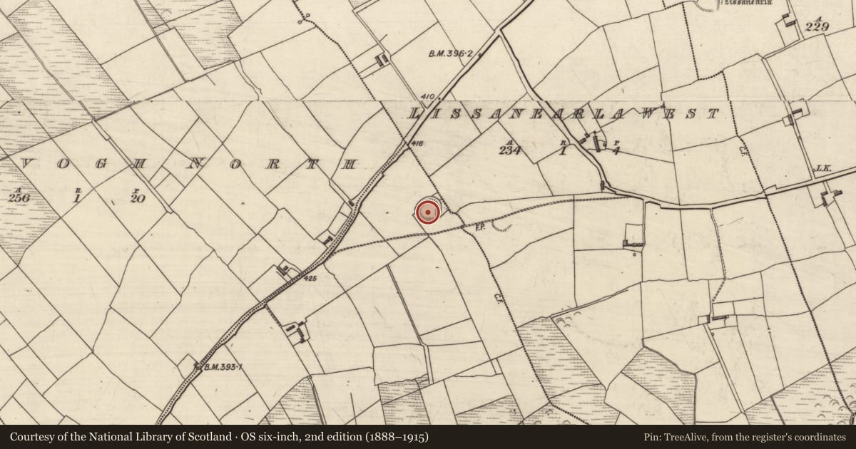 Ordnance Survey six-inch map, 2nd edition (1888–1915) covering the location of Ringfort - rath, Curravogh South, County Kerry, with a pin at the register's coordinates