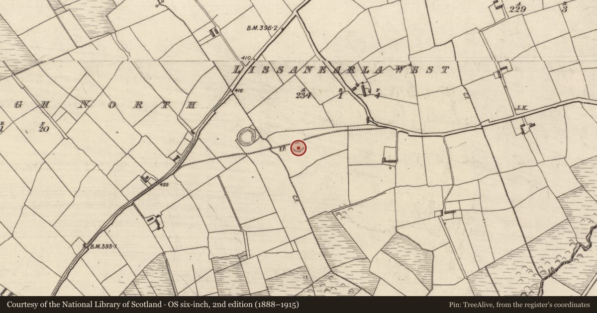 Ordnance Survey six-inch map, 2nd edition (1888–1915) covering the location of Ringfort - rath, Lissanearla West, County Kerry, with a pin at the register's coordinates