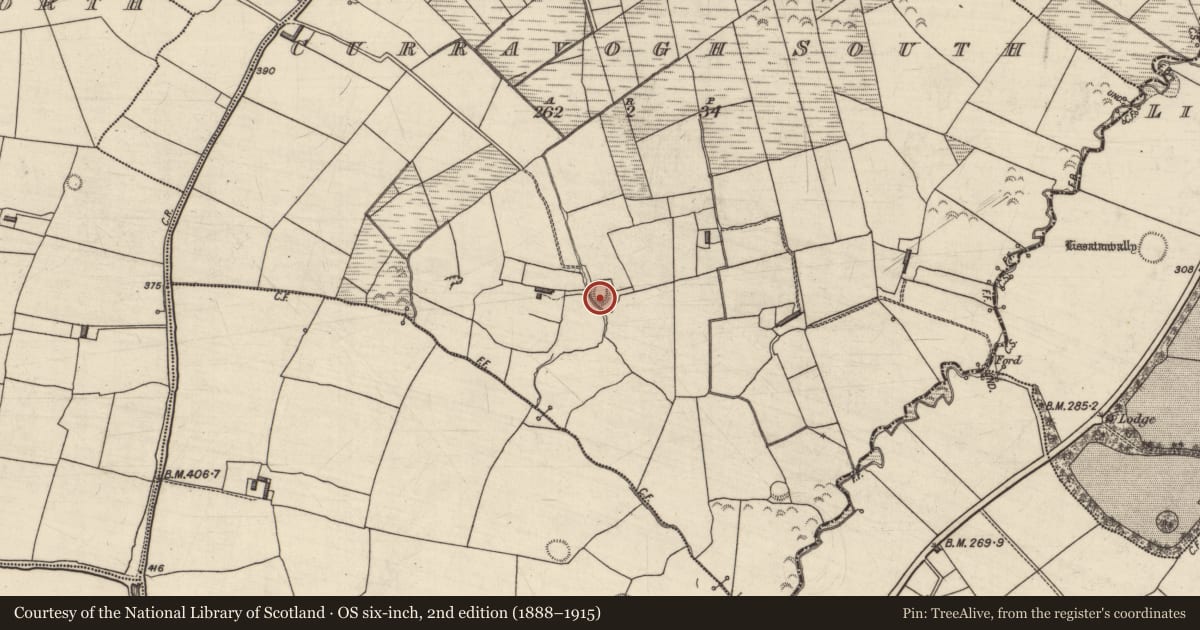 Ordnance Survey six-inch map, 2nd edition (1888–1915) covering the location of Ringfort - rath, Curravogh South, County Kerry, with a pin at the register's coordinates