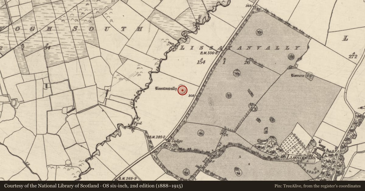 Ordnance Survey six-inch map, 2nd edition (1888–1915) covering the location of Ringfort - rath, Lissatanvally, County Kerry, with a pin at the register's coordinates