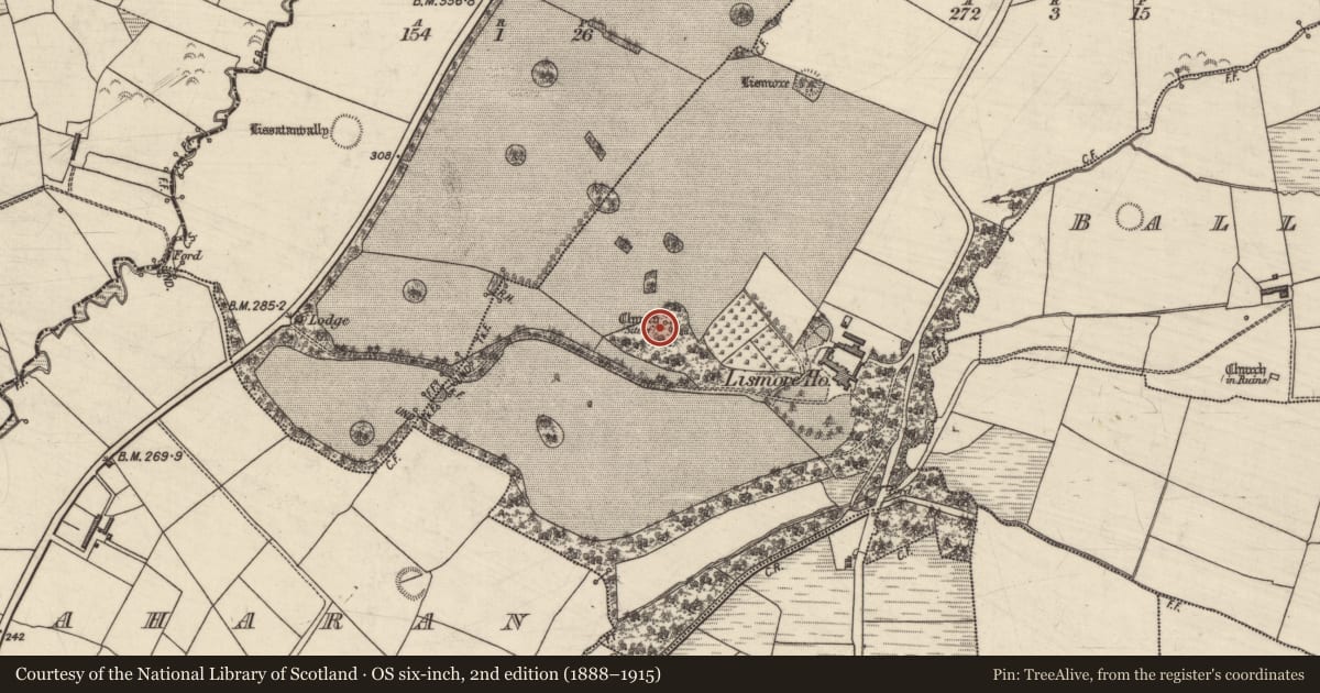 Ordnance Survey six-inch map, 2nd edition (1888–1915) covering the location of Graveyard, Lismore, County Kerry, with a pin at the register's coordinates