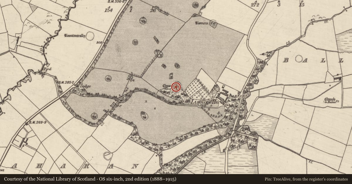 Ordnance Survey six-inch map, 2nd edition (1888–1915) covering the location of Children's burial ground, Lismore, County Kerry, with a pin at the register's coordinates