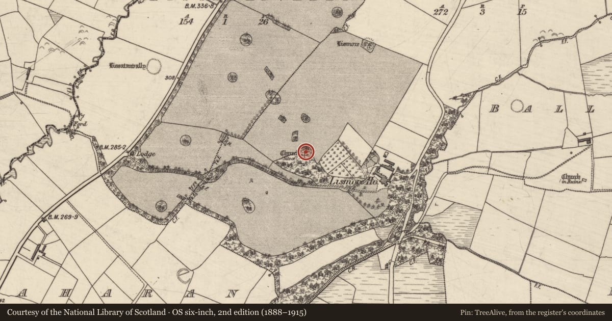 Ordnance Survey six-inch map, 2nd edition (1888–1915) covering the location of Ecclesiastical enclosure, Lismore, County Kerry, with a pin at the register's coordinates