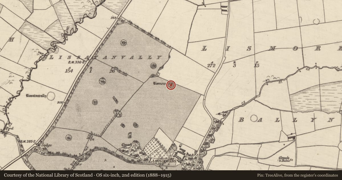 Ordnance Survey six-inch map, 2nd edition (1888–1915) covering the location of Ringfort - rath, Lismore, County Kerry, with a pin at the register's coordinates