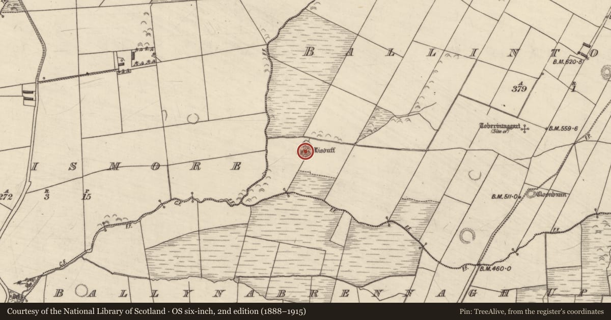 Ordnance Survey six-inch map, 2nd edition (1888–1915) covering the location of Ringfort - rath, Ballintobeenig, County Kerry, with a pin at the register's coordinates