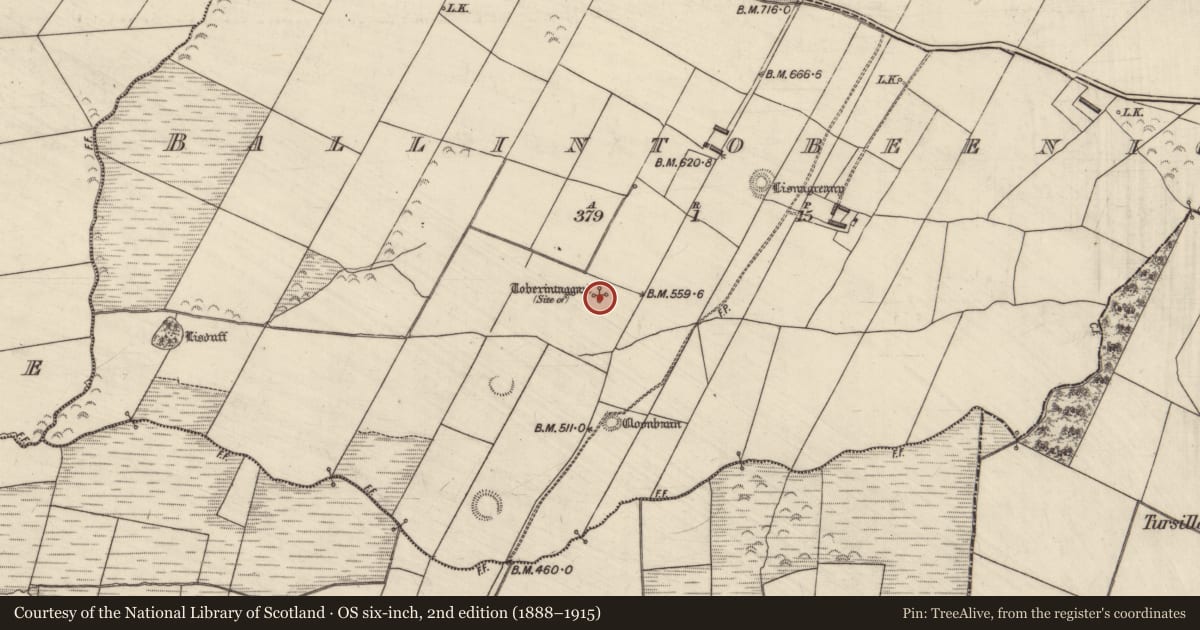 Ordnance Survey six-inch map, 2nd edition (1888–1915) covering the location of Ritual site - holy well, Ballintobeenig, County Kerry, with a pin at the register's coordinates