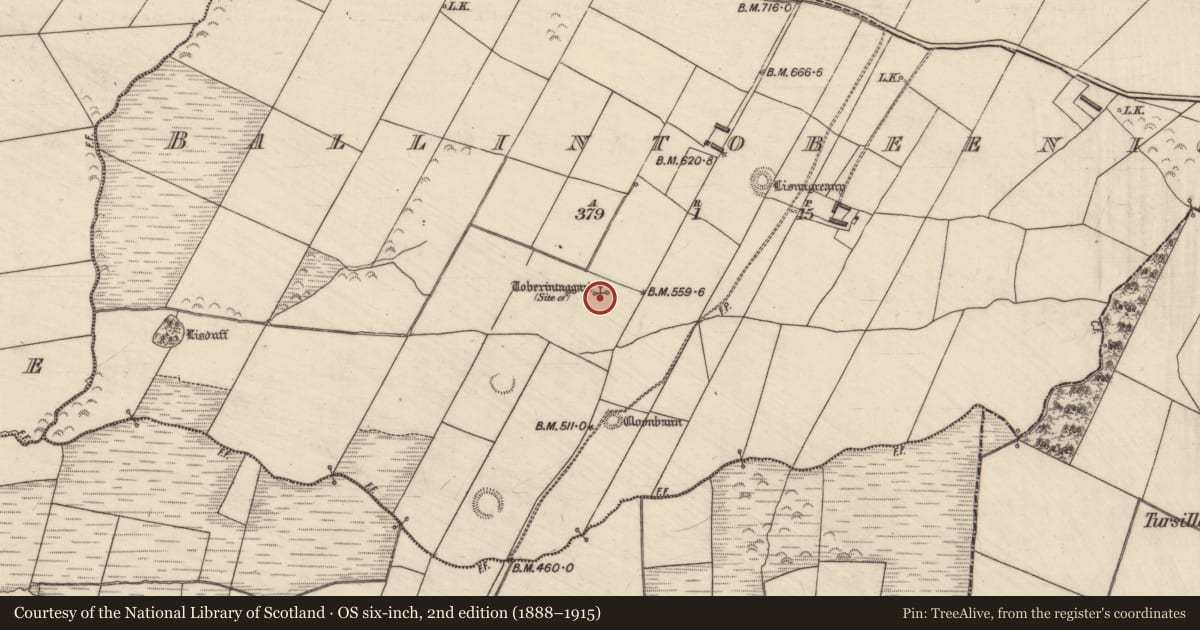 Ordnance Survey six-inch map, 2nd edition (1888–1915) covering the location of Church, Ballintobeenig, County Kerry, with a pin at the register's coordinates