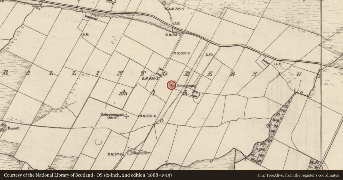 Ordnance Survey six-inch map, 2nd edition (1888–1915) covering the location of Ringfort - rath, Ballintobeenig, County Kerry, with a pin at the register's coordinates