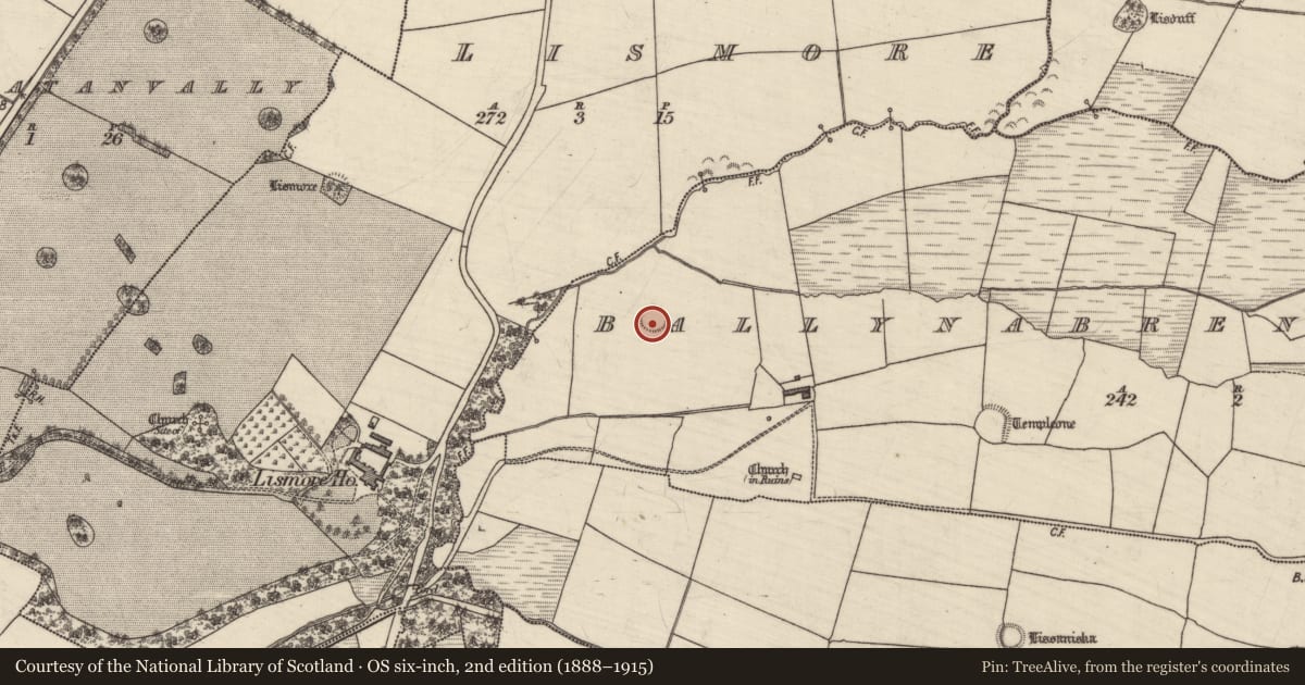 Ordnance Survey six-inch map, 2nd edition (1888–1915) covering the location of Ringfort - rath, Ballynabrennagh Upper, County Kerry, with a pin at the register's coordinates
