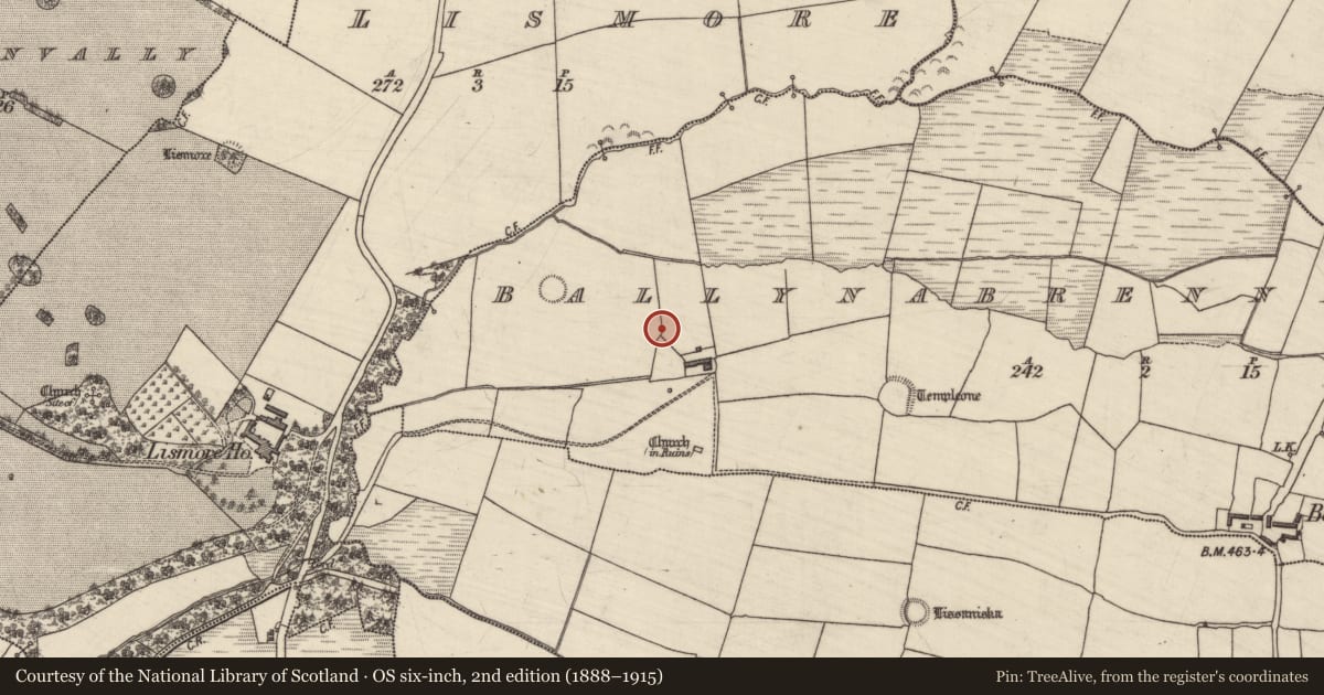 Ordnance Survey six-inch map, 2nd edition (1888–1915) covering the location of Ringfort - rath, Ballynabrennagh Upper, County Kerry, with a pin at the register's coordinates