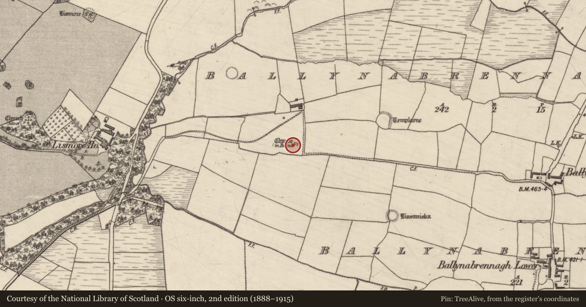 Ordnance Survey six-inch map, 2nd edition (1888–1915) covering the location of Church, Ballynabrennagh Upper, County Kerry, with a pin at the register's coordinates