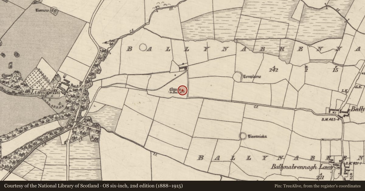 Ordnance Survey six-inch map, 2nd edition (1888–1915) covering the location of Graveyard, Ballynabrennagh Upper, County Kerry, with a pin at the register's coordinates