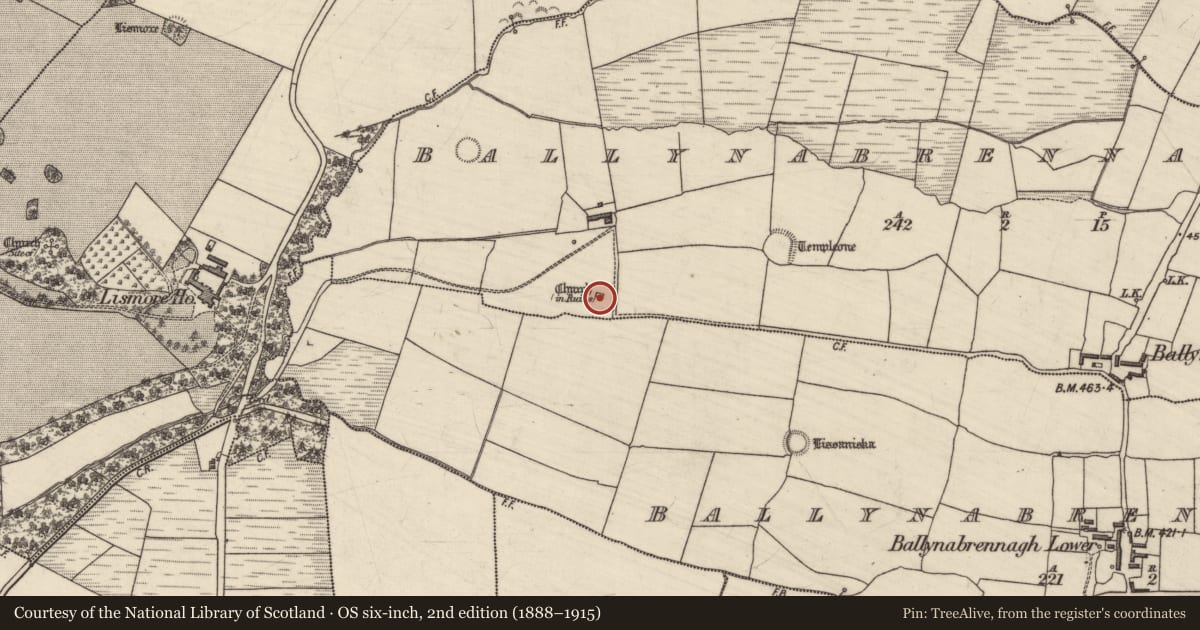 Ordnance Survey six-inch map, 2nd edition (1888–1915) covering the location of Children's burial ground, Ballynabrennagh Upper, County Kerry, with a pin at the register's coordinates