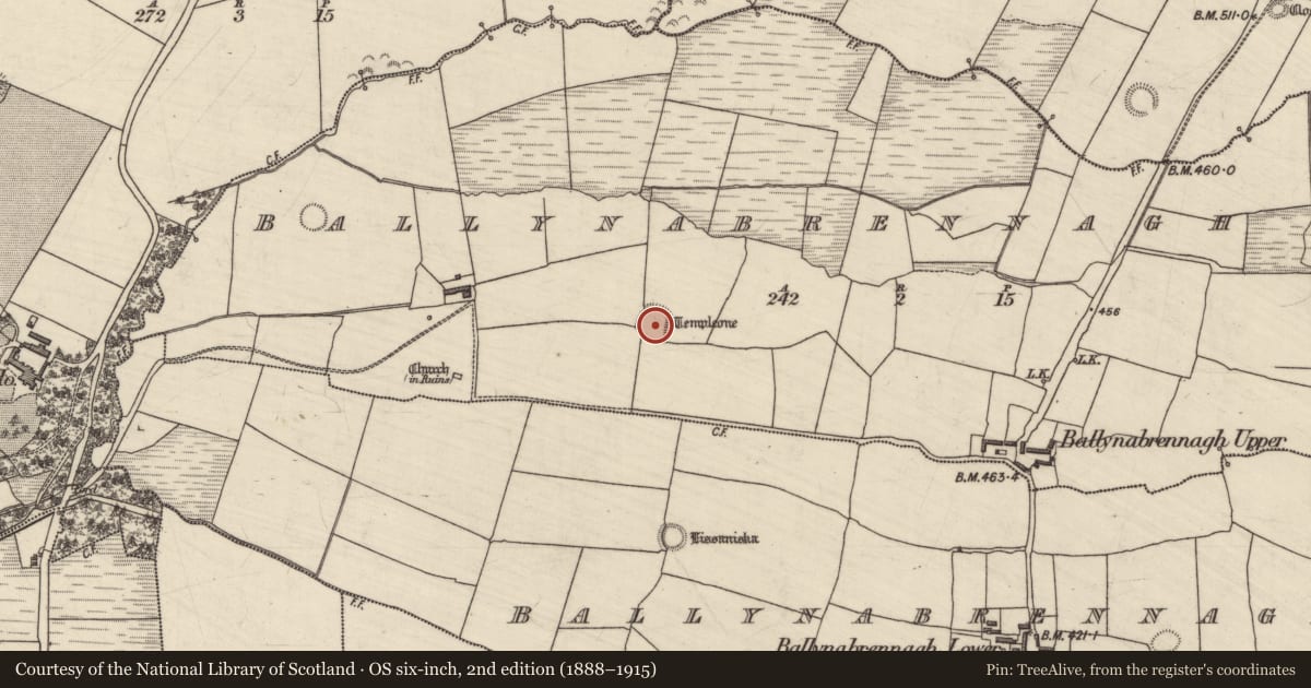 Ordnance Survey six-inch map, 2nd edition (1888–1915) covering the location of Ecclesiastical enclosure, Ballynabrennagh Upper, County Kerry, with a pin at the register's coordinates