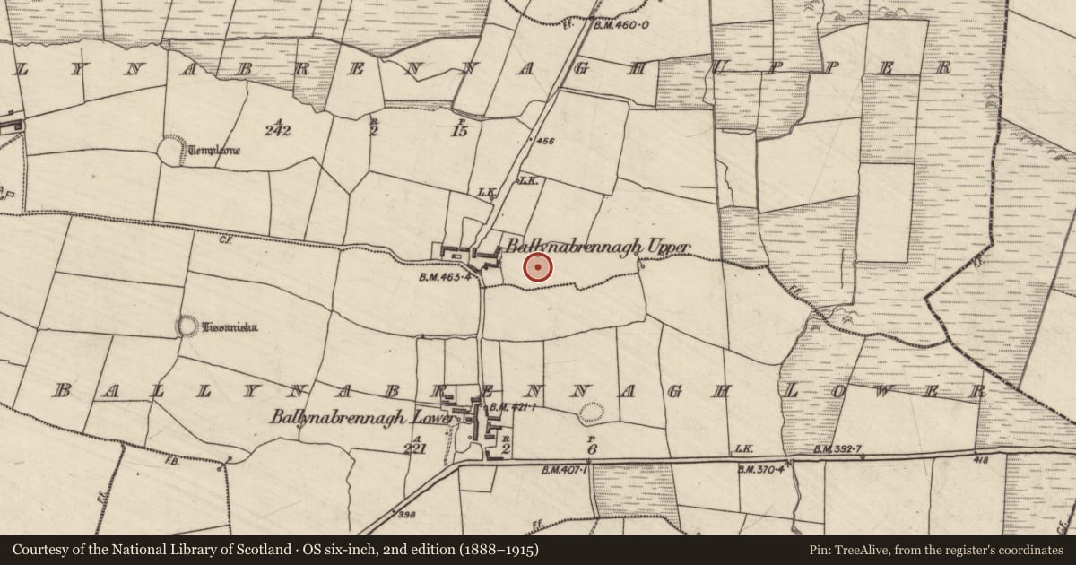 Ordnance Survey six-inch map, 2nd edition (1888–1915) covering the location of Enclosure, Ballynabrennagh Upper, County Kerry, with a pin at the register's coordinates