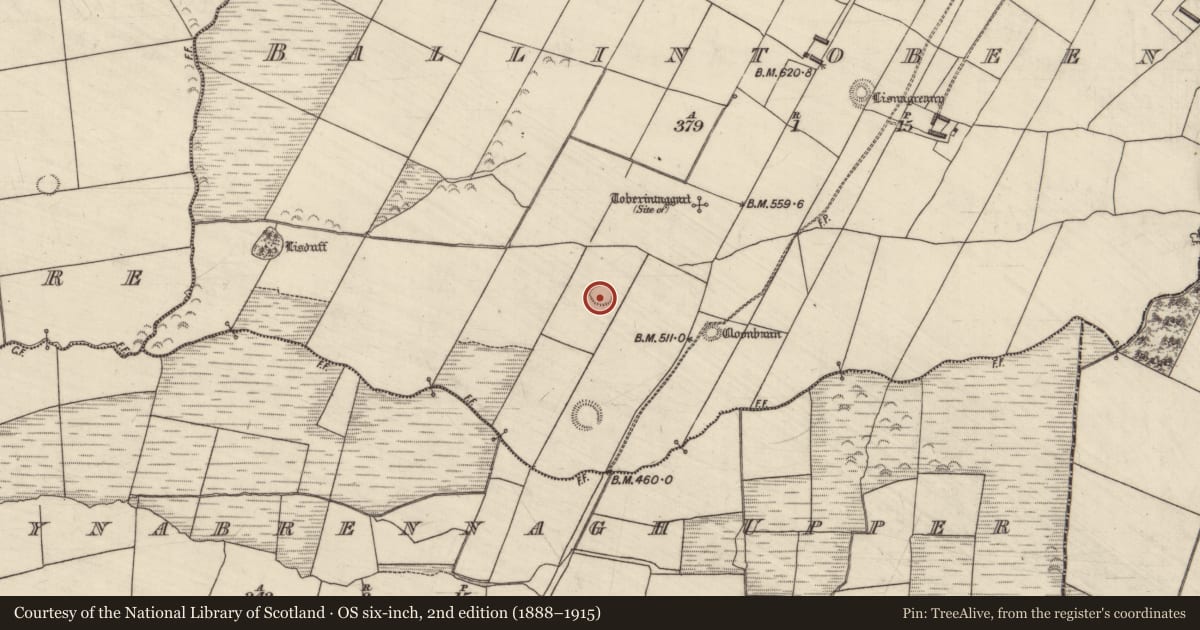 Ordnance Survey six-inch map, 2nd edition (1888–1915) covering the location of Enclosure, Ballintobeenig, County Kerry, with a pin at the register's coordinates