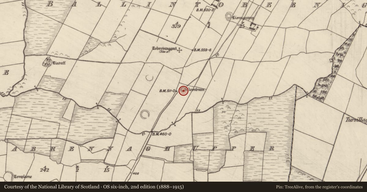 Ordnance Survey six-inch map, 2nd edition (1888–1915) covering the location of Ringfort - rath, Ballintobeenig, County Kerry, with a pin at the register's coordinates
