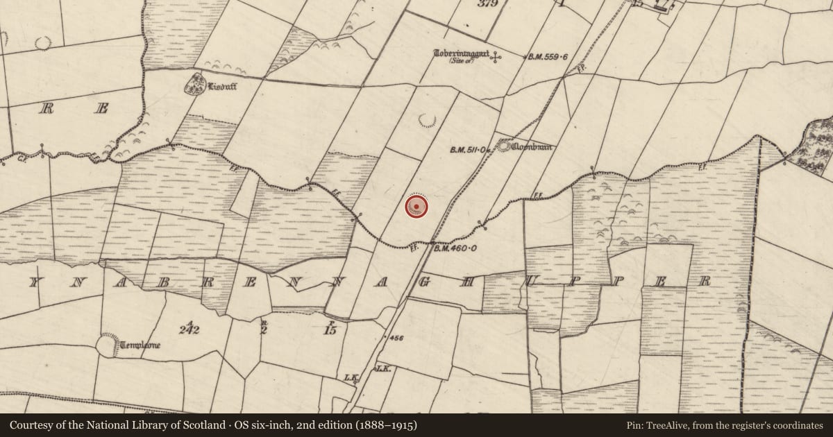 Ordnance Survey six-inch map, 2nd edition (1888–1915) covering the location of Ringfort - rath, Ballintobeenig, County Kerry, with a pin at the register's coordinates