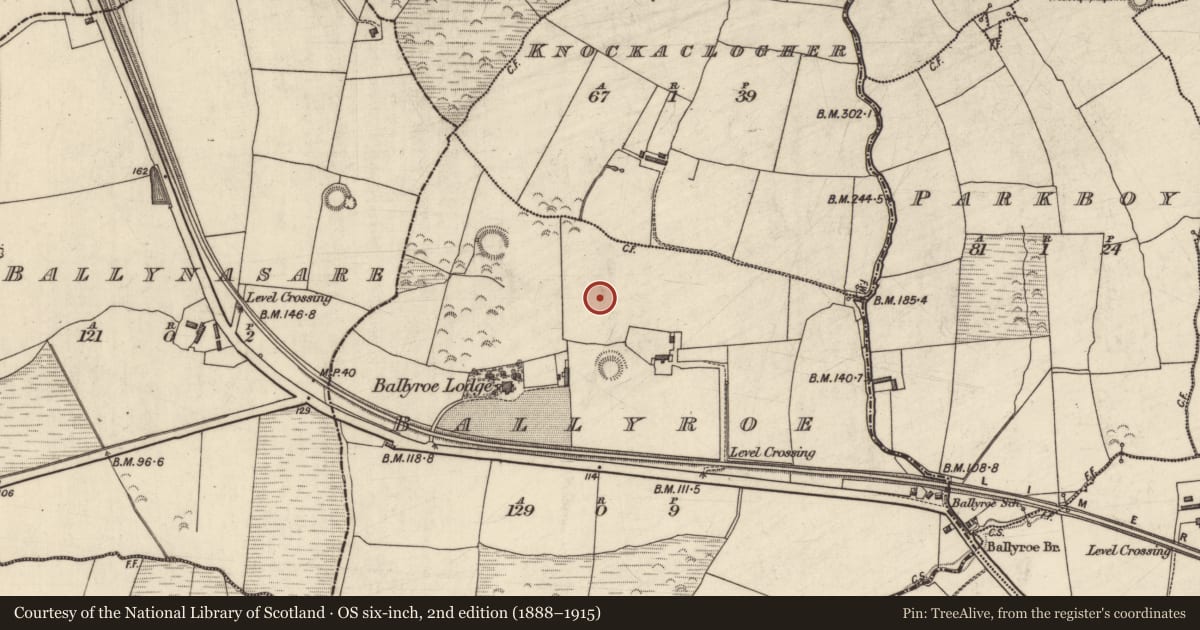 Ordnance Survey six-inch map, 2nd edition (1888–1915) covering the location of Ringfort - rath, Ballyroe, County Kerry, with a pin at the register's coordinates
