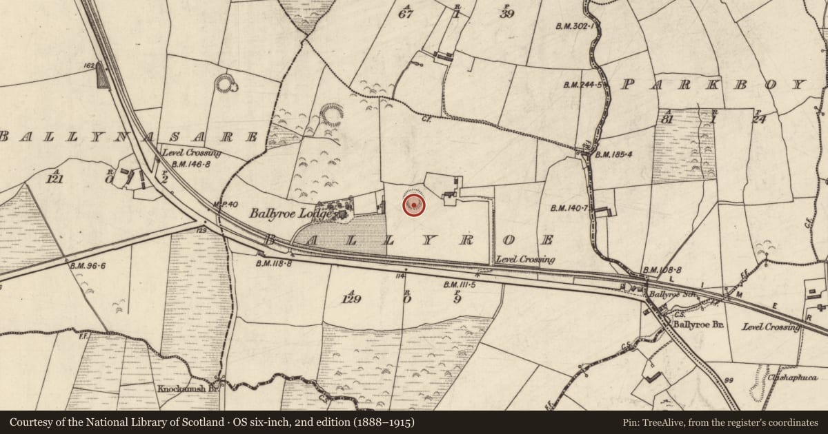 Ordnance Survey six-inch map, 2nd edition (1888–1915) covering the location of Ringfort - rath, Ballyroe, County Kerry, with a pin at the register's coordinates