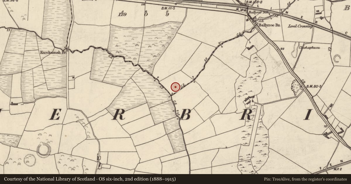 Ordnance Survey six-inch map, 2nd edition (1888–1915) covering the location of Enclosure, Ballyroe, County Kerry, with a pin at the register's coordinates