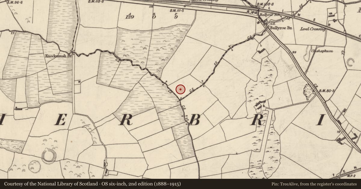 Ordnance Survey six-inch map, 2nd edition (1888–1915) covering the location of Enclosure, Ballyroe, County Kerry, with a pin at the register's coordinates