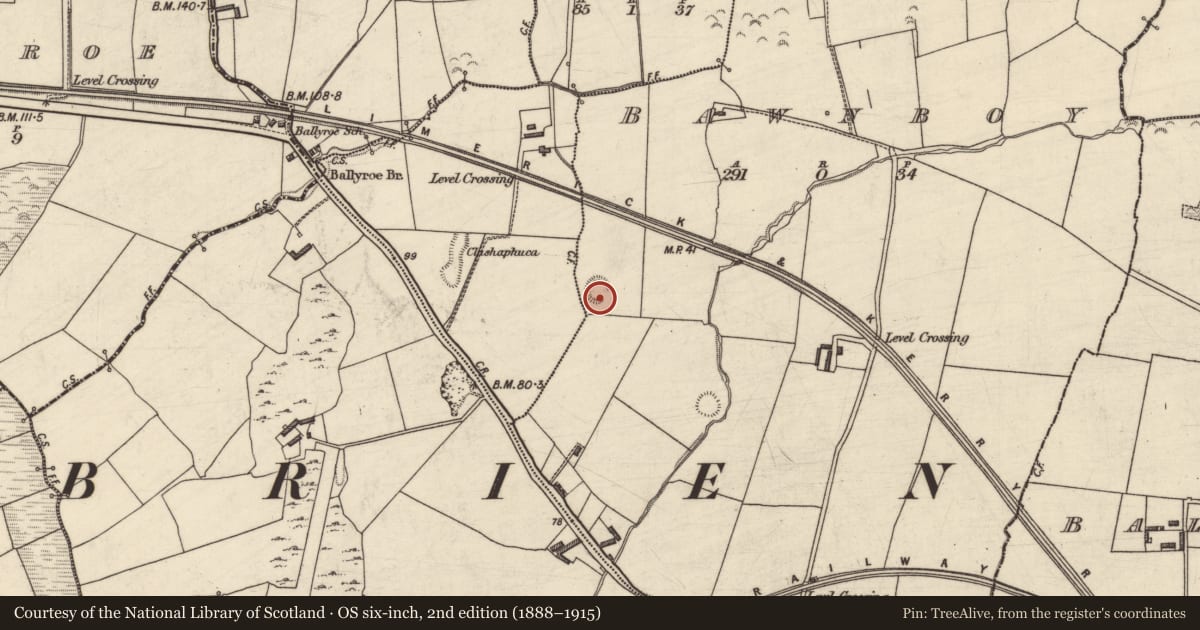 Ordnance Survey six-inch map, 2nd edition (1888–1915) covering the location of Enclosure, Bawnboy, County Kerry, with a pin at the register's coordinates