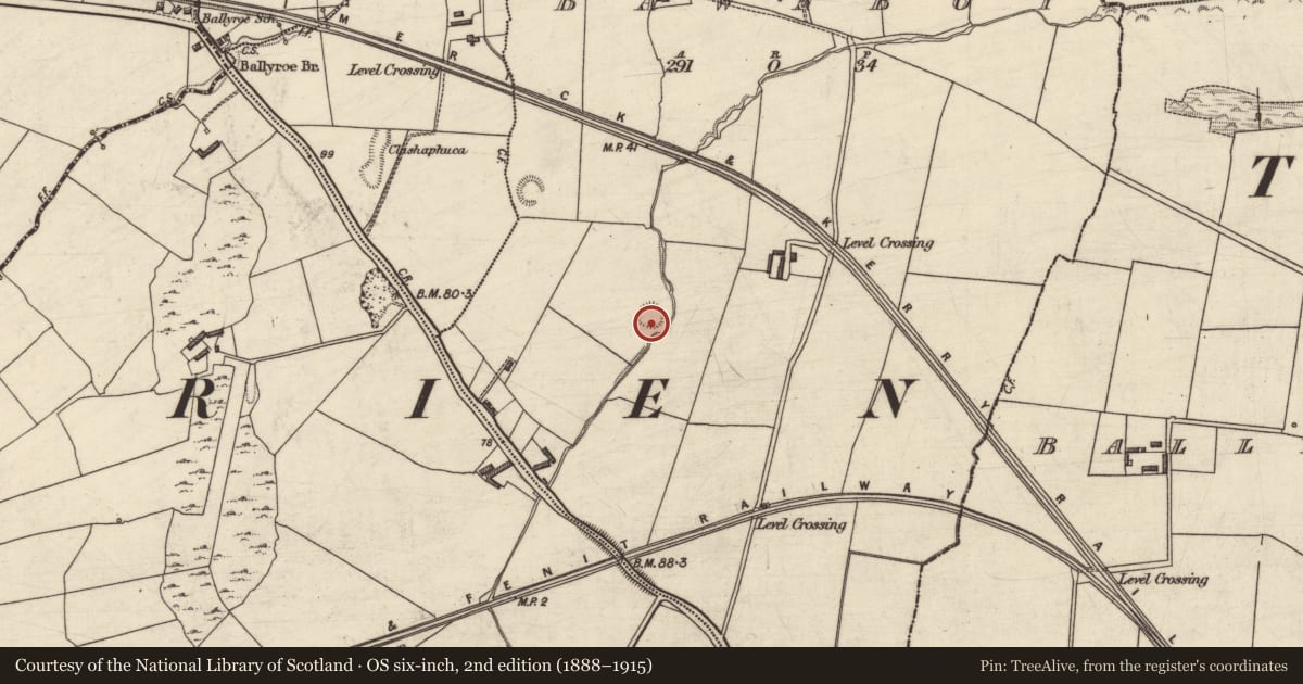 Ordnance Survey six-inch map, 2nd edition (1888–1915) covering the location of Enclosure, Bawnboy, County Kerry, with a pin at the register's coordinates