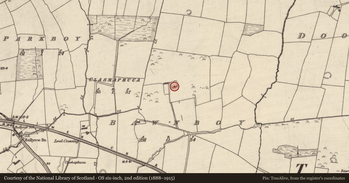Ordnance Survey six-inch map, 2nd edition (1888–1915) covering the location of Enclosure, Bawnboy, County Kerry, with a pin at the register's coordinates