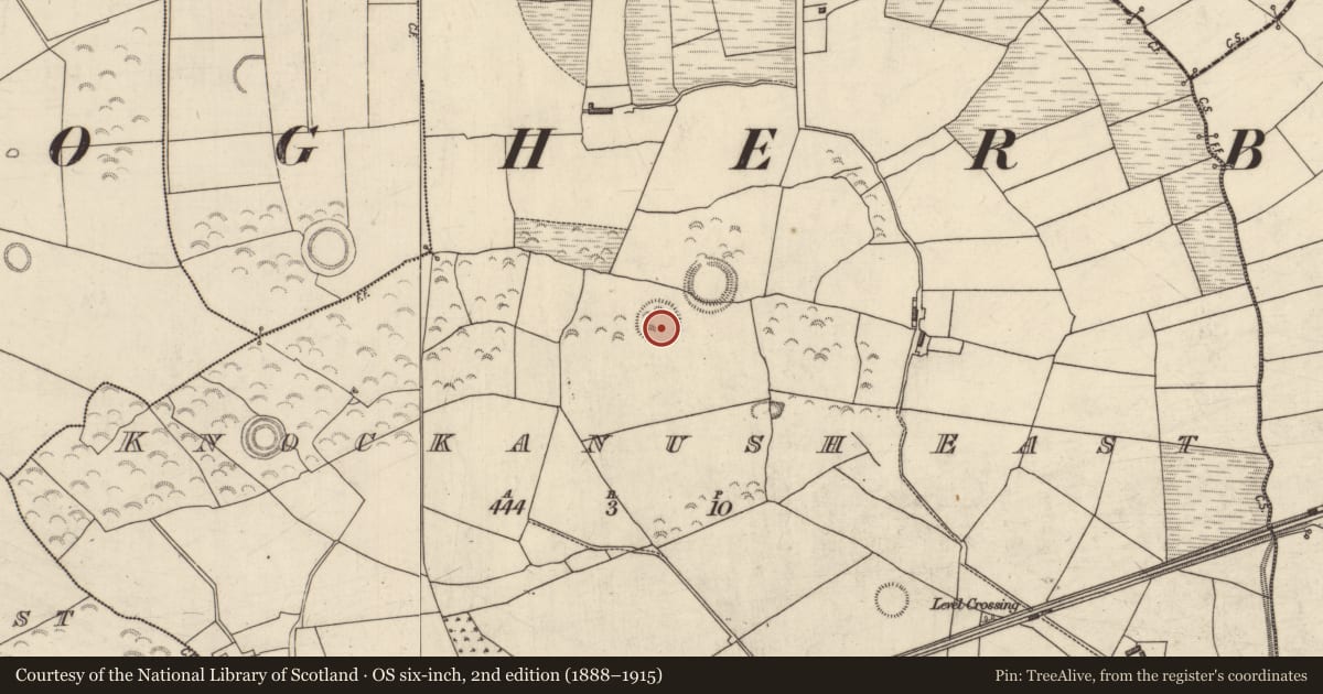 Ordnance Survey six-inch map, 2nd edition (1888–1915) covering the location of Ringfort - rath, Knockanush East, County Kerry, with a pin at the register's coordinates