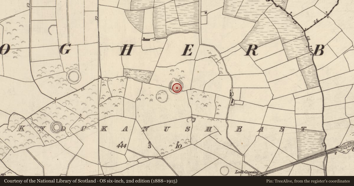Ordnance Survey six-inch map, 2nd edition (1888–1915) covering the location of Ringfort - rath, Knockanush East, County Kerry, with a pin at the register's coordinates