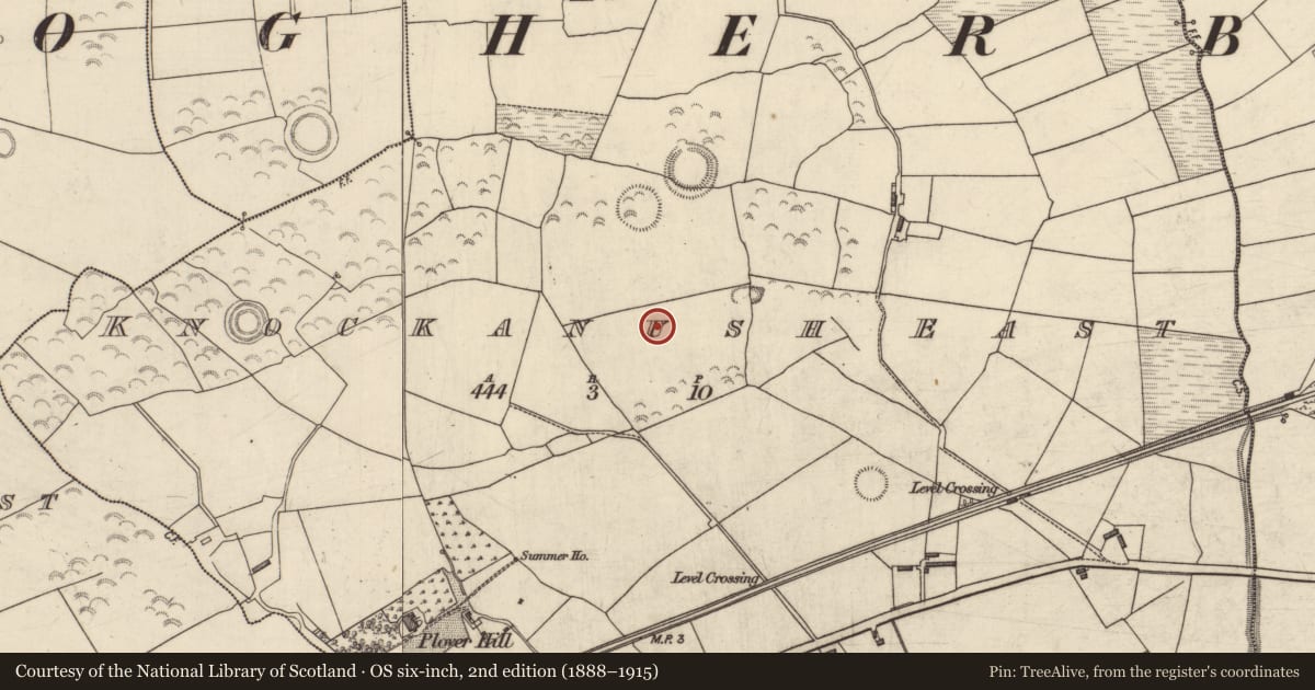 Ordnance Survey six-inch map, 2nd edition (1888–1915) covering the location of Ringfort - rath, Knockanush East, County Kerry, with a pin at the register's coordinates