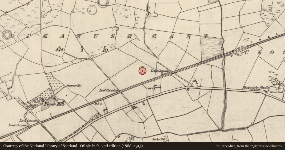 Ordnance Survey six-inch map, 2nd edition (1888–1915) covering the location of Ringfort - rath, Knockanush East, County Kerry, with a pin at the register's coordinates