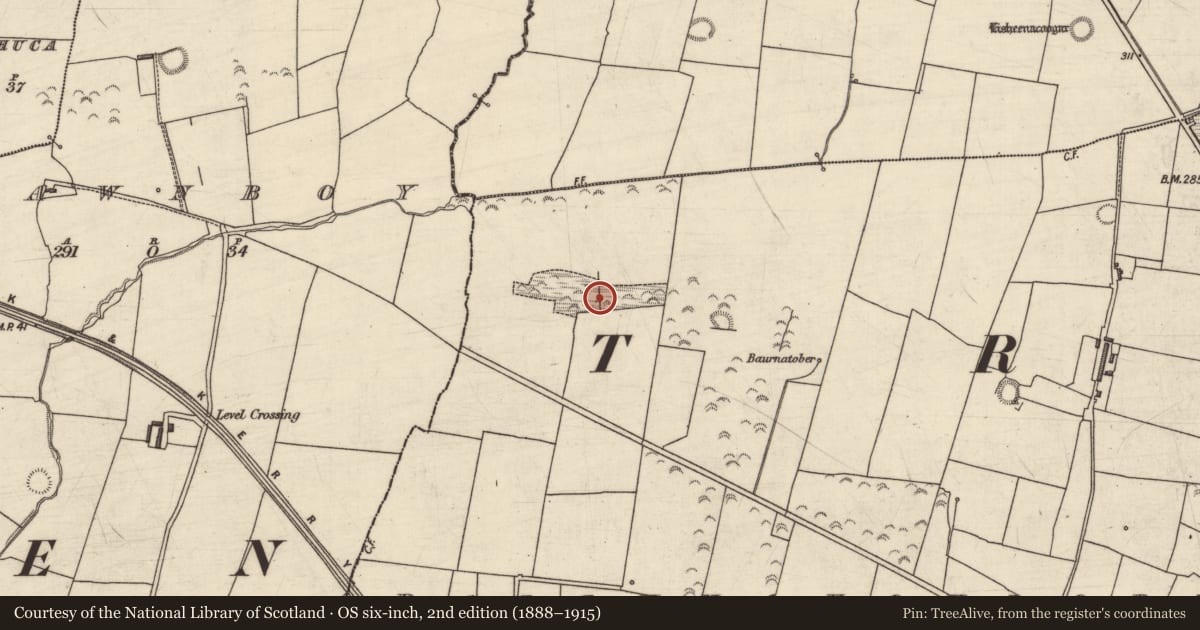Ordnance Survey six-inch map, 2nd edition (1888–1915) covering the location of Mound, Ballynahoulort, County Kerry, with a pin at the register's coordinates