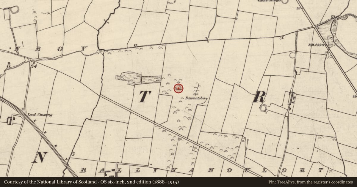 Ordnance Survey six-inch map, 2nd edition (1888–1915) covering the location of Enclosure, Ballynahoulort, County Kerry, with a pin at the register's coordinates