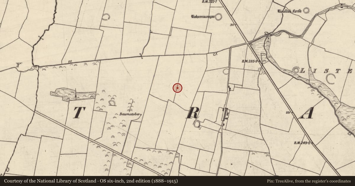 Ordnance Survey six-inch map, 2nd edition (1888–1915) covering the location of Enclosure, Ballynahoulort, County Kerry, with a pin at the register's coordinates