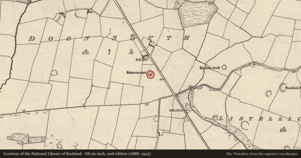 Ordnance Survey six-inch map, 2nd edition (1888–1915) covering the location of Ringfort - rath, Doon South, County Kerry, with a pin at the register's coordinates