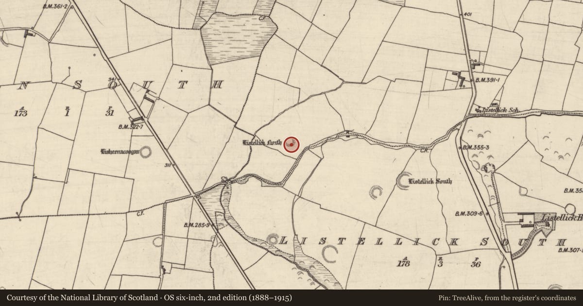 Ordnance Survey six-inch map, 2nd edition (1888–1915) covering the location of Ringfort - rath, Listellick North, County Kerry, with a pin at the register's coordinates