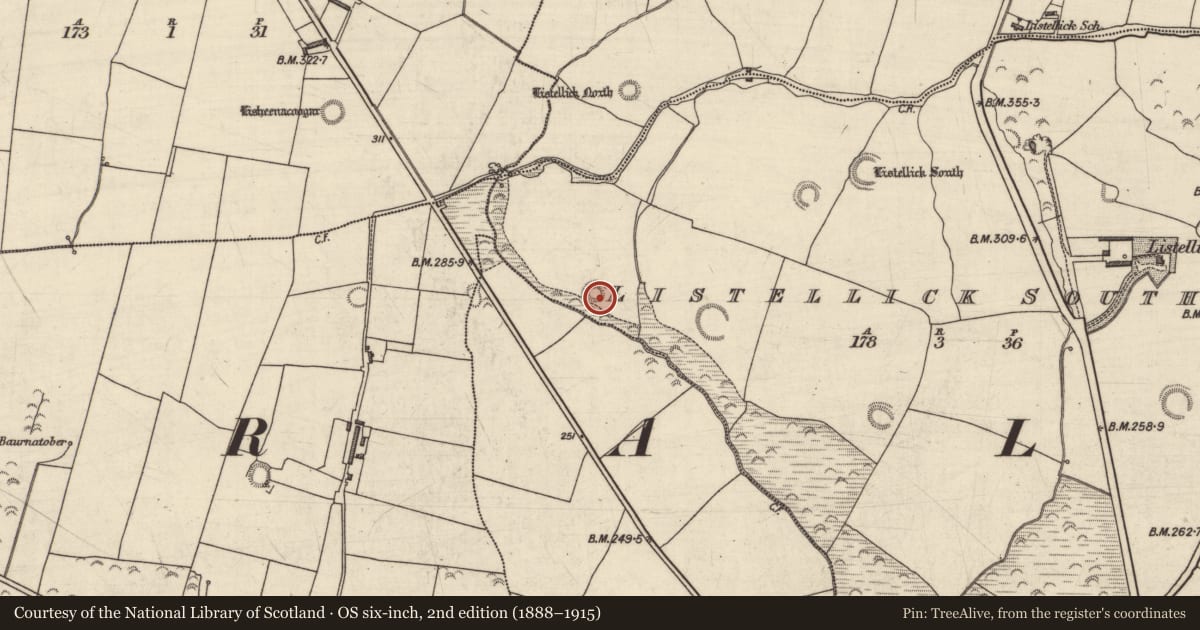Ordnance Survey six-inch map, 2nd edition (1888–1915) covering the location of Enclosure, Listellick South, County Kerry, with a pin at the register's coordinates
