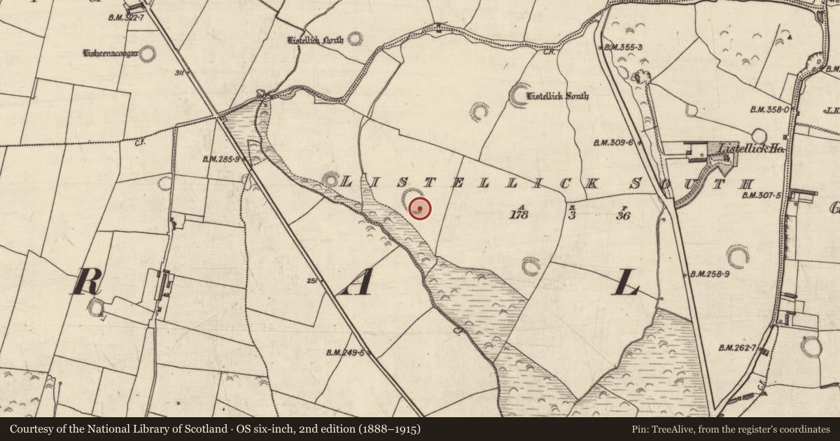 Ordnance Survey six-inch map, 2nd edition (1888–1915) covering the location of Enclosure, Listellick South, County Kerry, with a pin at the register's coordinates