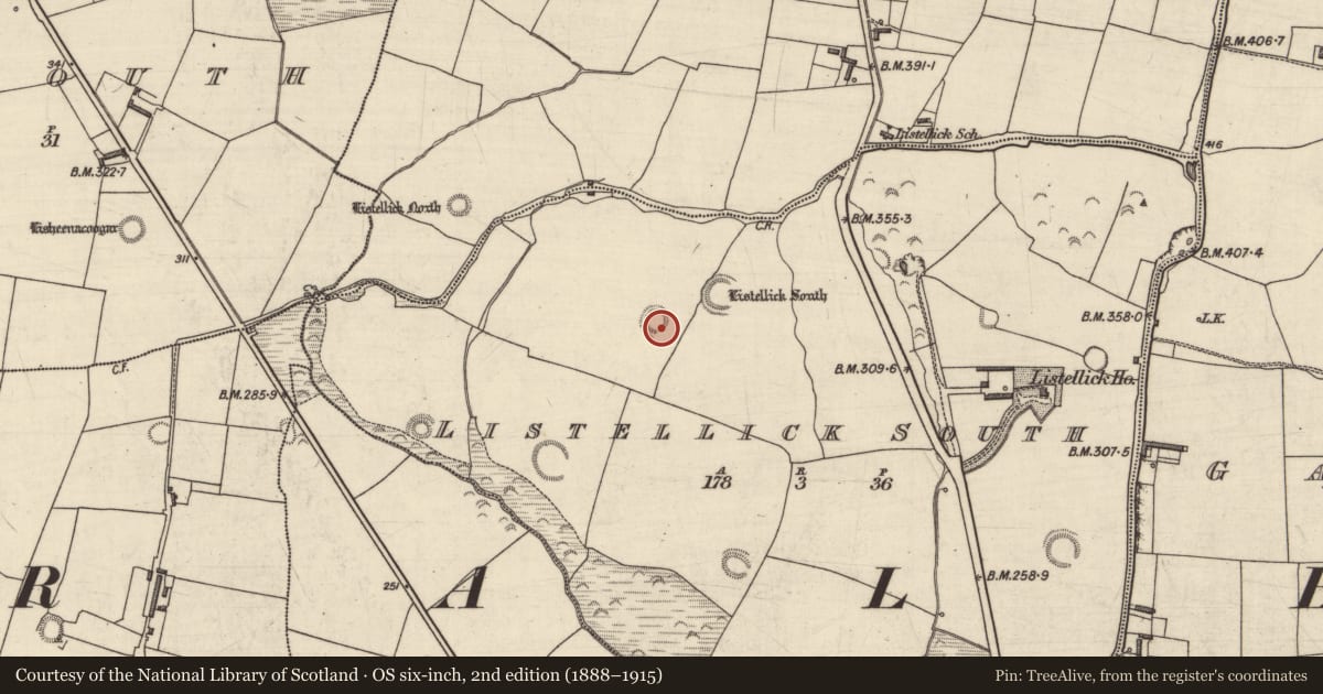 Ordnance Survey six-inch map, 2nd edition (1888–1915) covering the location of Ringfort - rath, Listellick South, County Kerry, with a pin at the register's coordinates