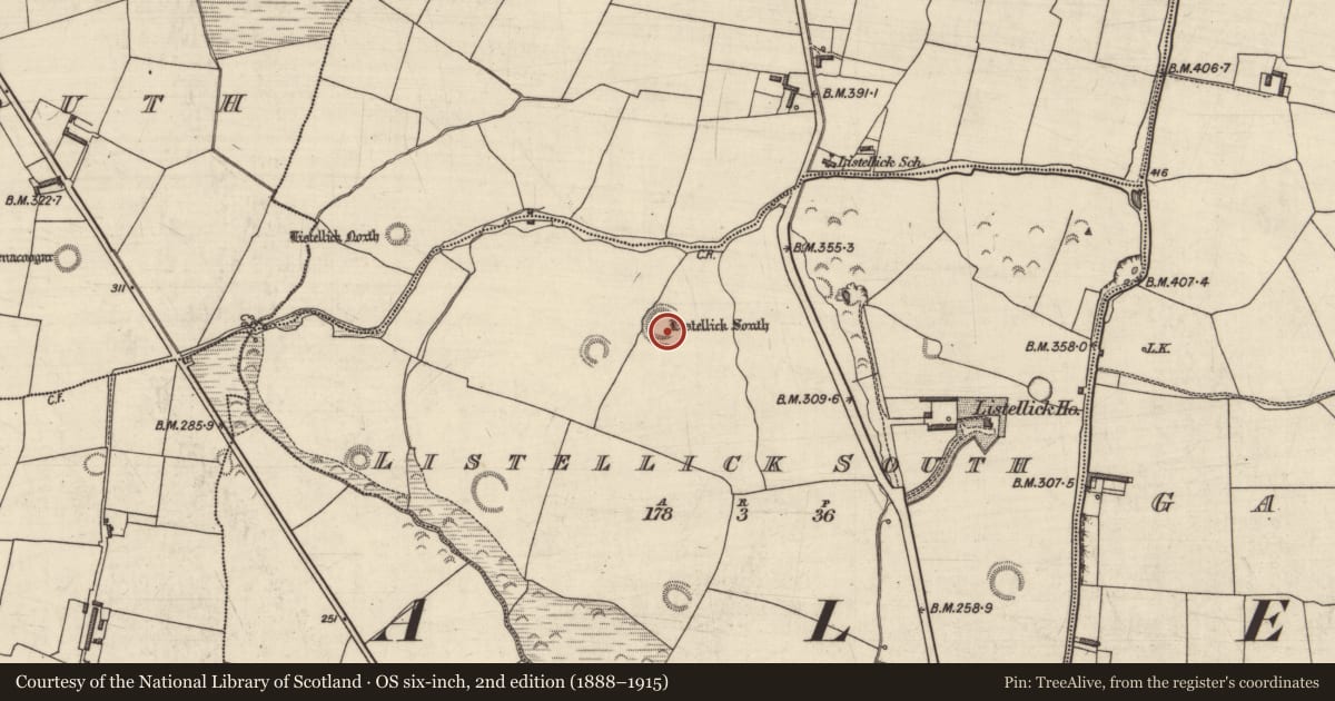 Ordnance Survey six-inch map, 2nd edition (1888–1915) covering the location of Ringfort - rath, Listellick South, County Kerry, with a pin at the register's coordinates