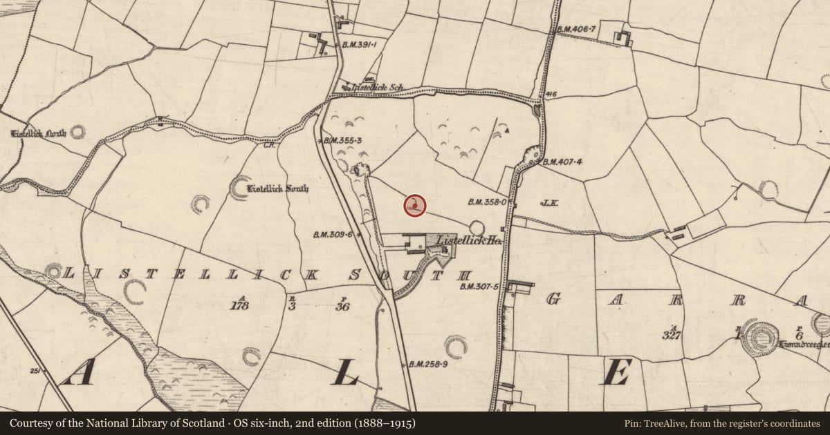 Ordnance Survey six-inch map, 2nd edition (1888–1915) covering the location of Ringfort - rath, Listellick South, County Kerry, with a pin at the register's coordinates