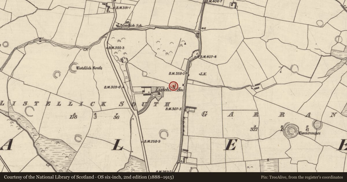 Ordnance Survey six-inch map, 2nd edition (1888–1915) covering the location of Ringfort - rath, Listellick South, County Kerry, with a pin at the register's coordinates