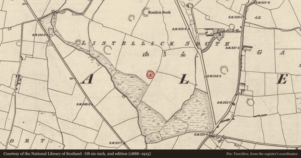Ordnance Survey six-inch map, 2nd edition (1888–1915) covering the location of Ringfort - rath, Listellick South, County Kerry, with a pin at the register's coordinates